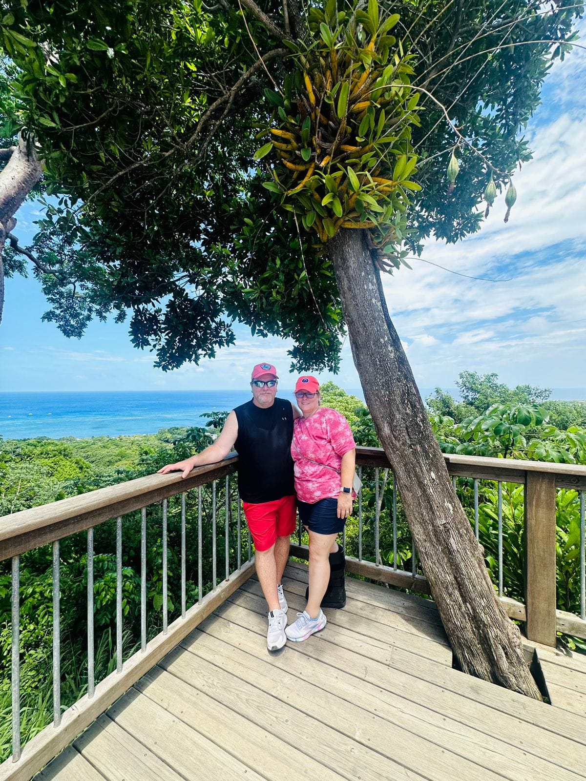 Santuario de aves y perezosos en Roatán